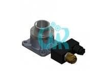 Клапан впускной RH38E 600.5200 V01 24V AC (Абакан)