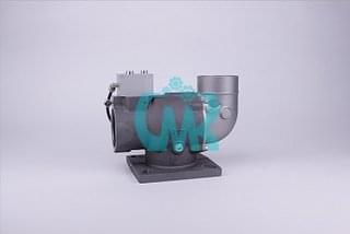 Клапан впускной R90PM/V+GE300 550.1410.0580